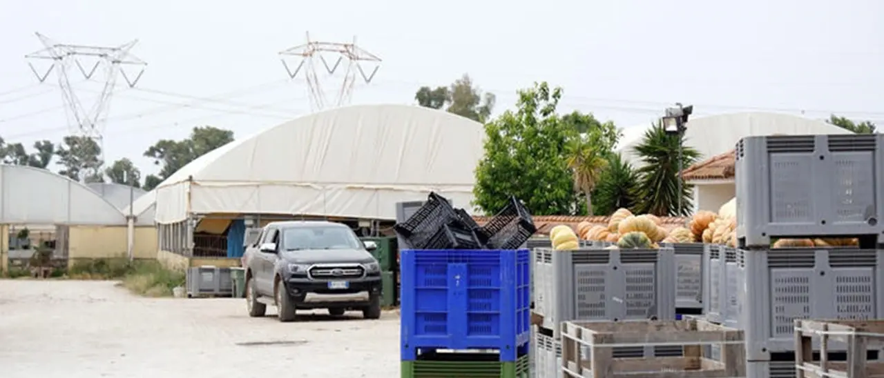 Morto l’operaio lasciato in strada col braccio staccato dopo un incidente, il datore di lavoro: «L’avevo avvisato di non avvicinarsi al mezzo»