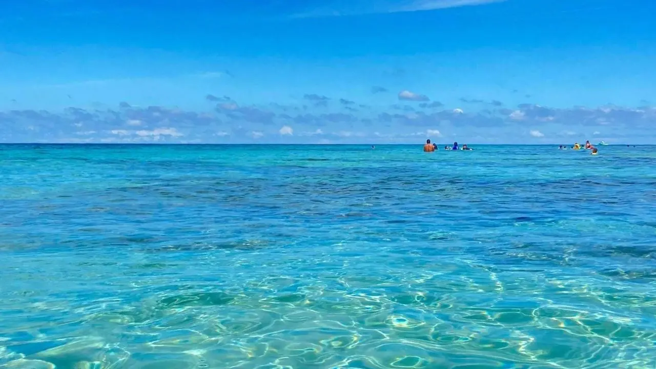 Il mare più bello in Calabria secondo Legambiente: ecco le località premiate anche se nessuna ottiene le 5 Vele