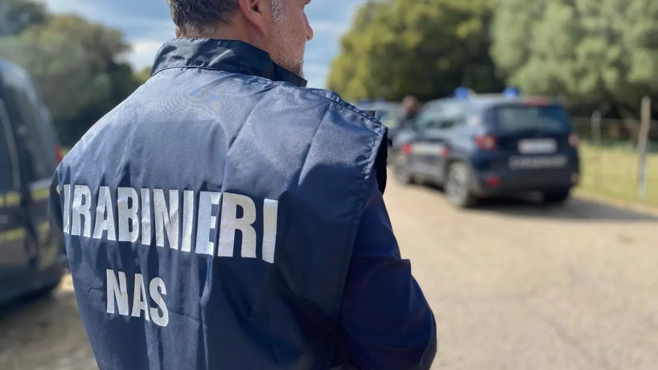 Reati ambientali, controlli nell’Alto Tirreno cosentino: denunce, sequestri e sanzioni per 112mila euro