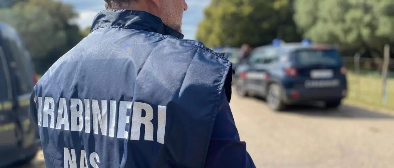 Reati ambientali, controlli nell’Alto Tirreno cosentino: denunce, sequestri e sanzioni per 112mila euro