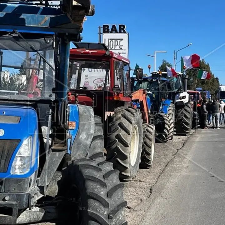 Dopo la protesta dei trattori la mobilitazione di agricoltori e pescatori continua: in Calabria un’intera giornata di incontri pubblici
