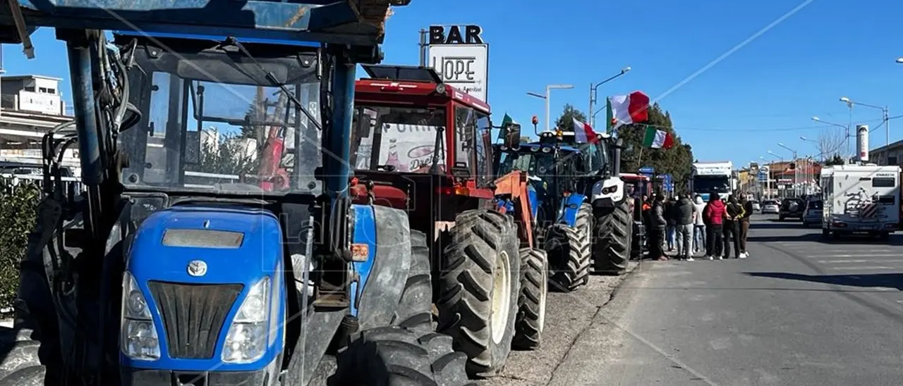 Dopo la protesta dei trattori la mobilitazione di agricoltori e pescatori continua: in Calabria un’intera giornata di incontri pubblici