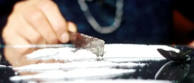 L’import-export di prodotti alimentari come «copertura» per il narcotraffico: gli affari di droga dei clan delle Preserre vibonesi