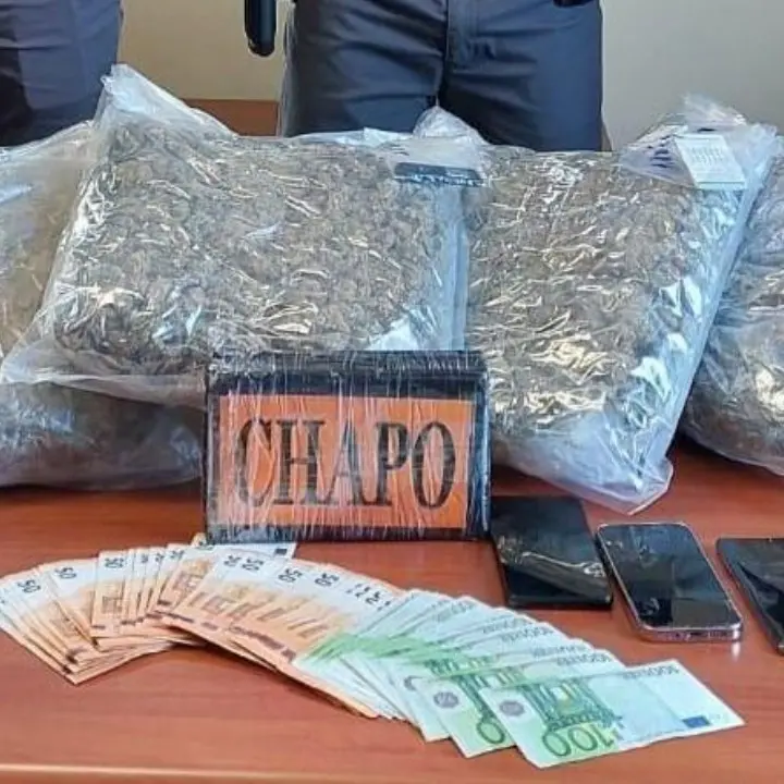 Fiumi di droga in Calabria, oltre quattro tonnellate sequestrate nel 2024: Reggio capitale della cocaina\n