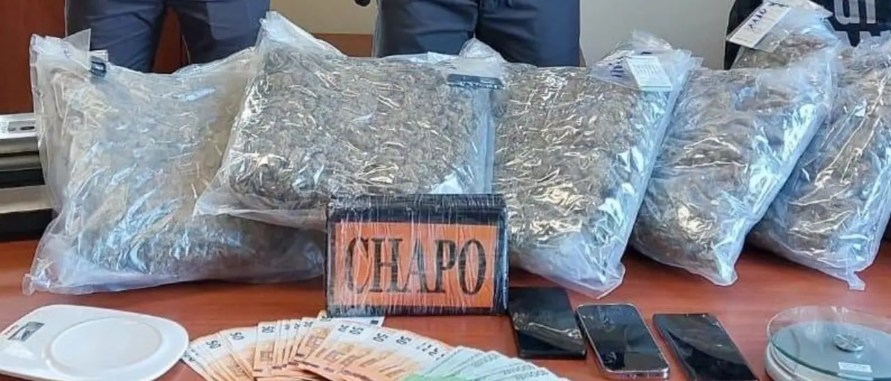 Fiumi di droga in Calabria, oltre quattro tonnellate sequestrate nel 2024: Reggio capitale della cocaina\n