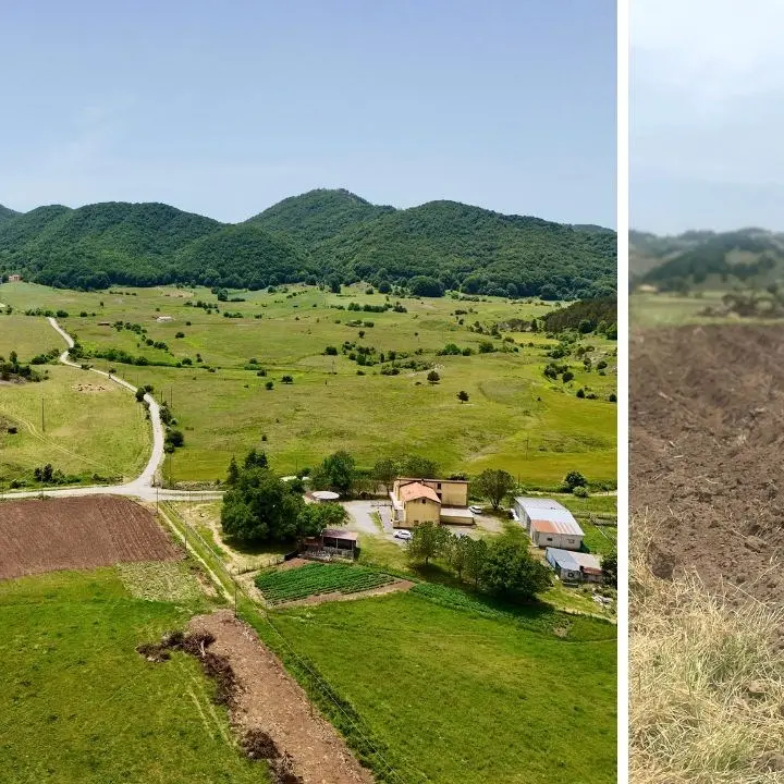 A contatto con la natura per una vita più autentica, ecco perché Teresa si è rifugiata sul Pollino riscoprendo antiche colture agricole