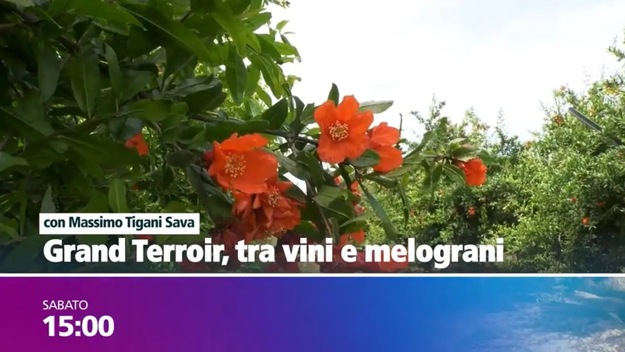 Grand Terroir tra vini e melograni: puntata speciale oggi alle 15 su LaC OnAir