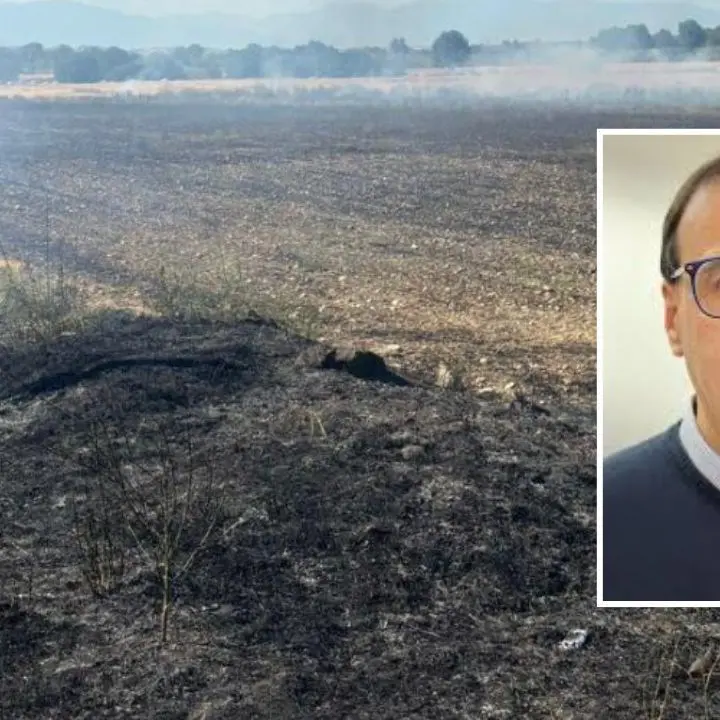 Incendio nel Cosentino: fiamme in un terreno di Mauro D’Acri, ex candidato sindaco a Montalto Uffugo