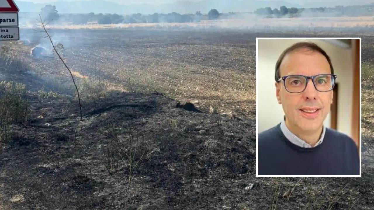 Incendio nel Cosentino: fiamme in un terreno di Mauro D’Acri, ex candidato sindaco a Montalto Uffugo