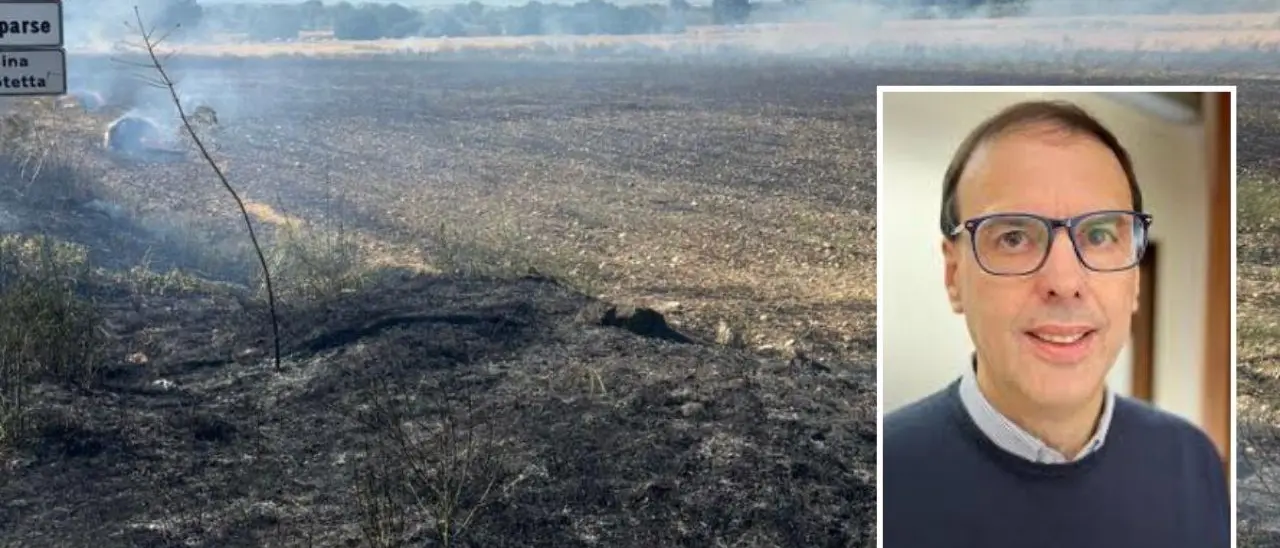 Incendio nel Cosentino: fiamme in un terreno di Mauro D’Acri, ex candidato sindaco a Montalto Uffugo