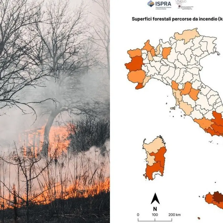 Calabria e Sicilia le più flagellate dagli incendi: in aumento l’estensione delle aree colpite