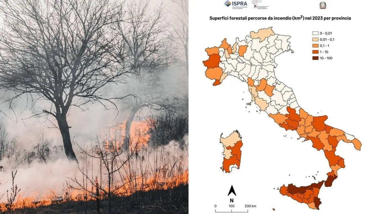 Calabria e Sicilia le più flagellate dagli incendi: in aumento l’estensione delle aree colpite