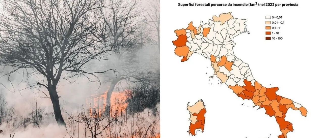 Calabria e Sicilia le più flagellate dagli incendi: in aumento l’estensione delle aree colpite