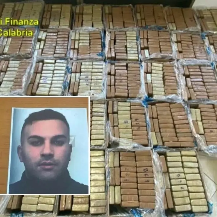 I segreti dei narcos nei verbali di Pasquino: i contrasti tra i Nirta e i brasiliani e il nuovo potere dei broker albanesi