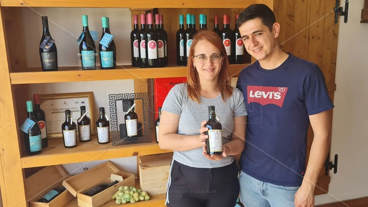 Tra i filari di Zibibbo e di Magliocco Canino a Zambrone: serata di degustazione dei vini Artese