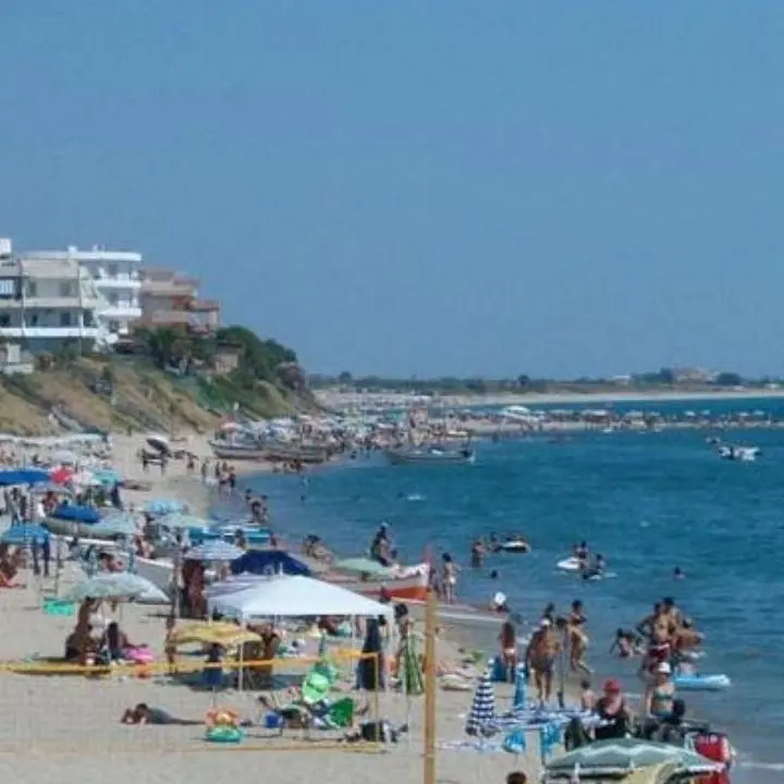 Microalga tossica in mare, divieto di balneazione a Torre Melissa dopo le analisi Arpacal