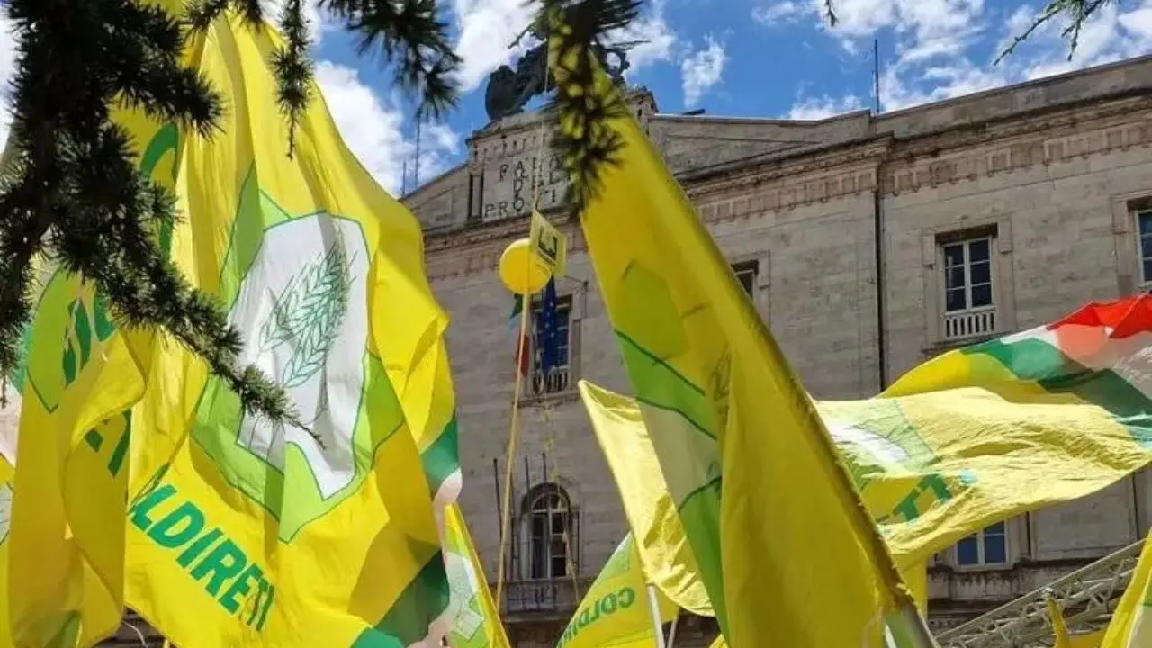 Coldiretti, in ventimila in piazza per fermare l’invasione dei cinghiali