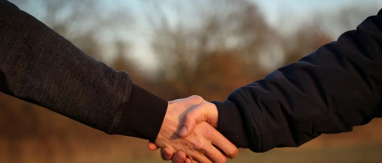 Da Terminator a Recovery, ecco la storia giudiziaria recente della ’ndrangheta di Cosenza