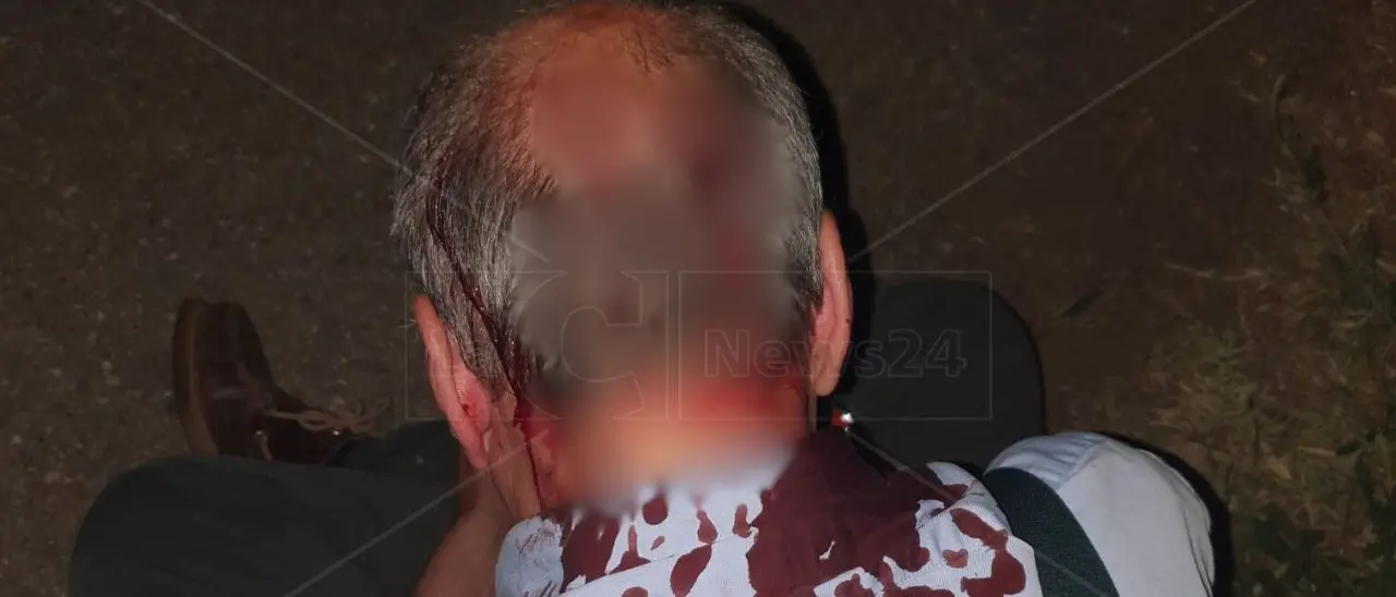 Preso a sassate Gregorio Odoardi, proprietario delle celebri cantine calabresi: l’ombra di una faida familiare