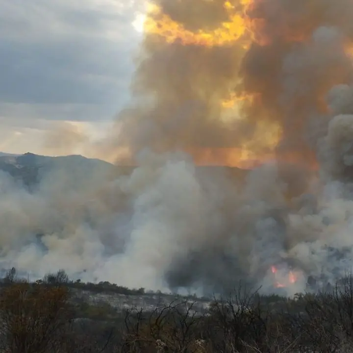 Calabria nella morsa degli incendi, anche l’alto Jonio travolto dalle fiamme: roghi prima ad Albidona poi a Oriolo