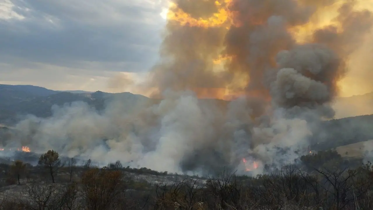 Calabria nella morsa degli incendi, anche l’alto Jonio travolto dalle fiamme: roghi prima ad Albidona poi a Oriolo