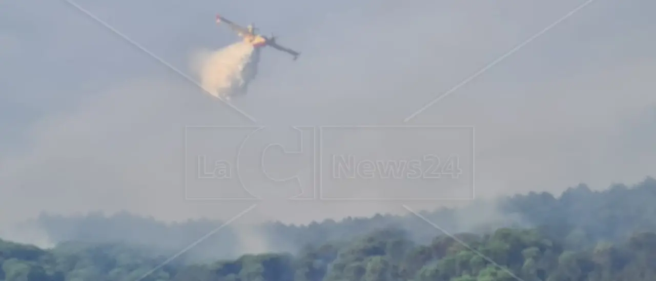 Incendi boschivi, venerdì di fuoco in Italia: dalla Calabria una richiesta su tre d‘interventi aerei