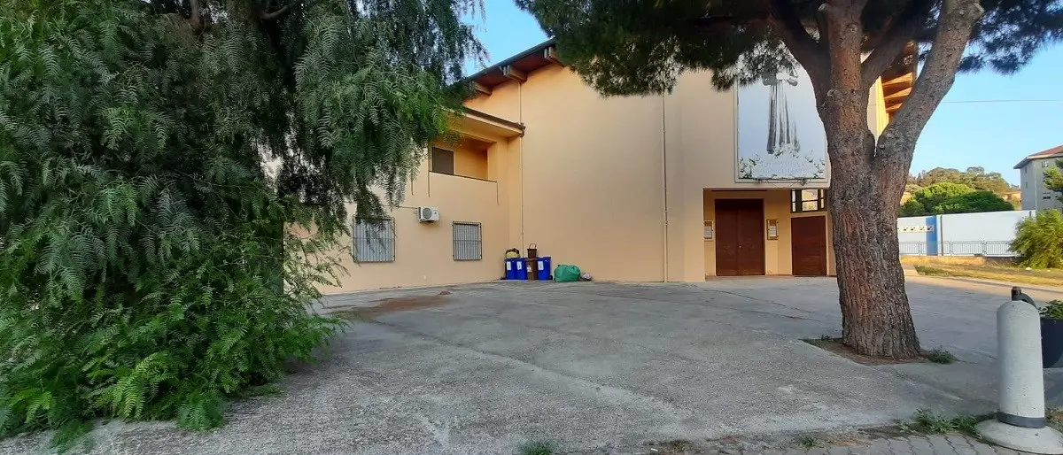 Catanzaro, carcassa di cinghiale con una ferita alla gola davanti a una chiesa