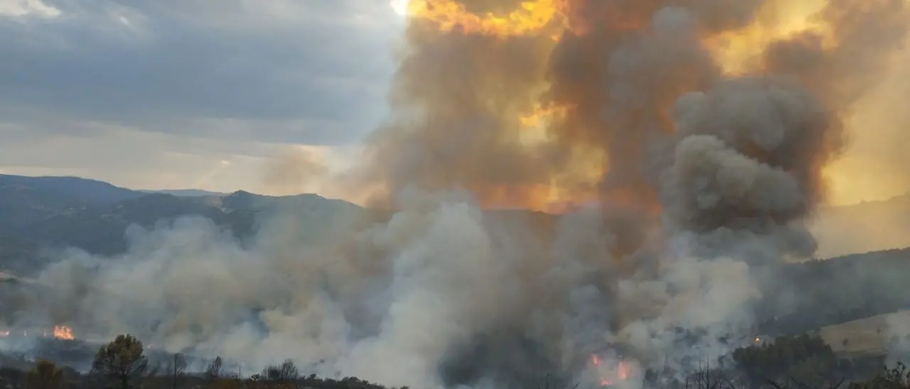 Incendi, canadair della Protezione civile impegnati in mezza Italia: dalla Calabria 4 richieste d’aiuto