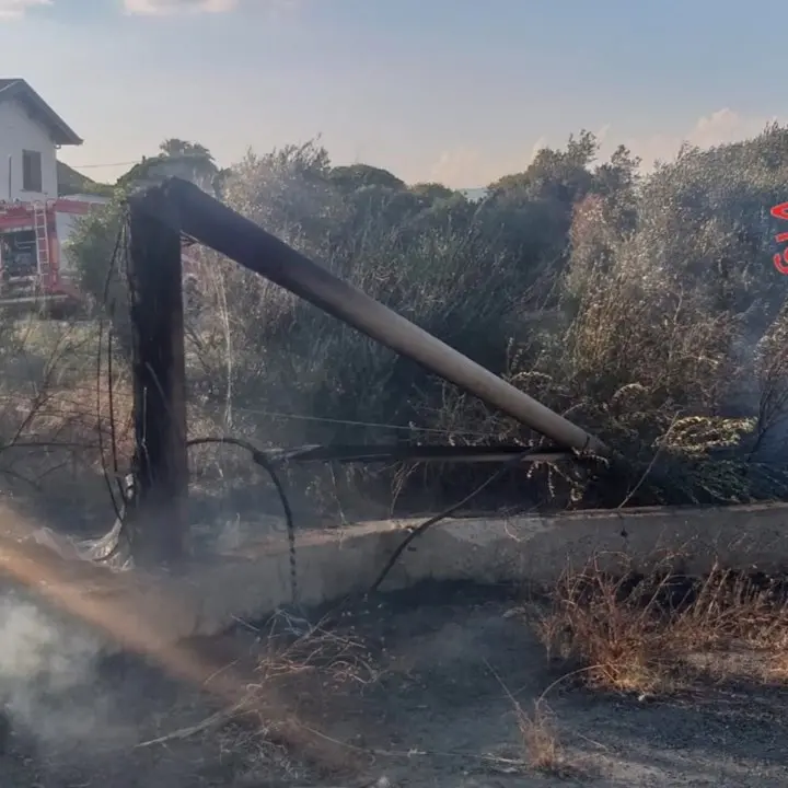 Incendio a Catanzaro, le fiamme si avvicinano alle case e distruggono alcuni pali Telecom