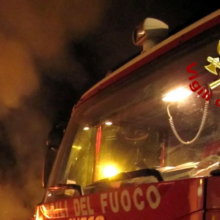 Muore nel tentativo di difendere il suo uliveto da un incendio: tragedia nel Cosentino