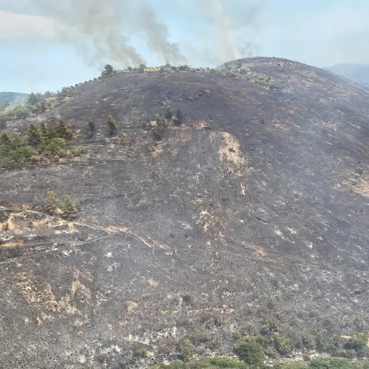 Calabria regione più colpita dagli incendi: partite da qui 8 richieste d’interventi aerei su 18