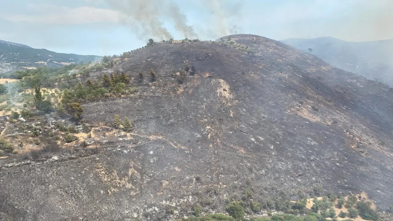 Calabria regione più colpita dagli incendi: partite da qui 8 richieste d’interventi aerei su 18