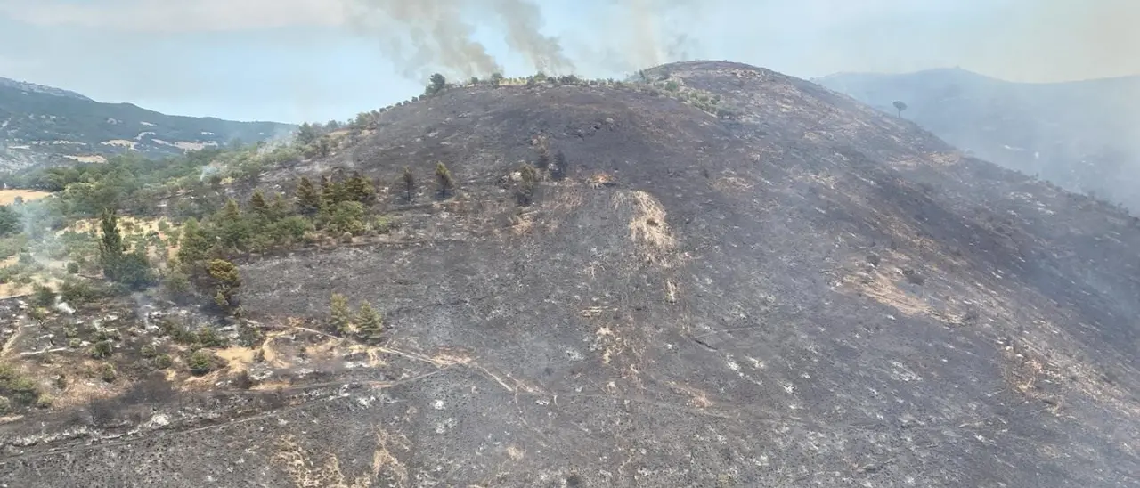 Calabria regione più colpita dagli incendi: partite da qui 8 richieste d’interventi aerei su 18