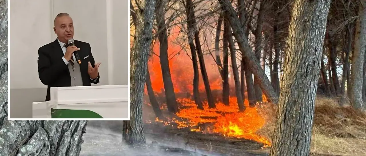 Incendi in Calabria, Mammoliti: «Non solo droni e canadair. Servono assunzioni, prevenzione e cura del territorio»