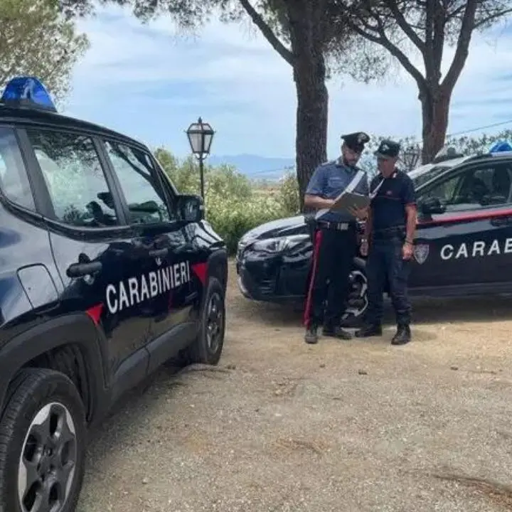 Carcasse di auto e camion abbandonate nelle vicinanze di una fiumara: sette denunce nel Reggino
