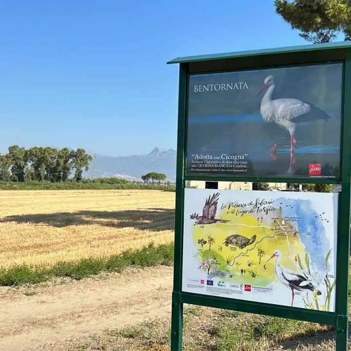 Le risaie di Sibari scrigno di biodiversità: al via una collaborazione tra Lipu e aziende