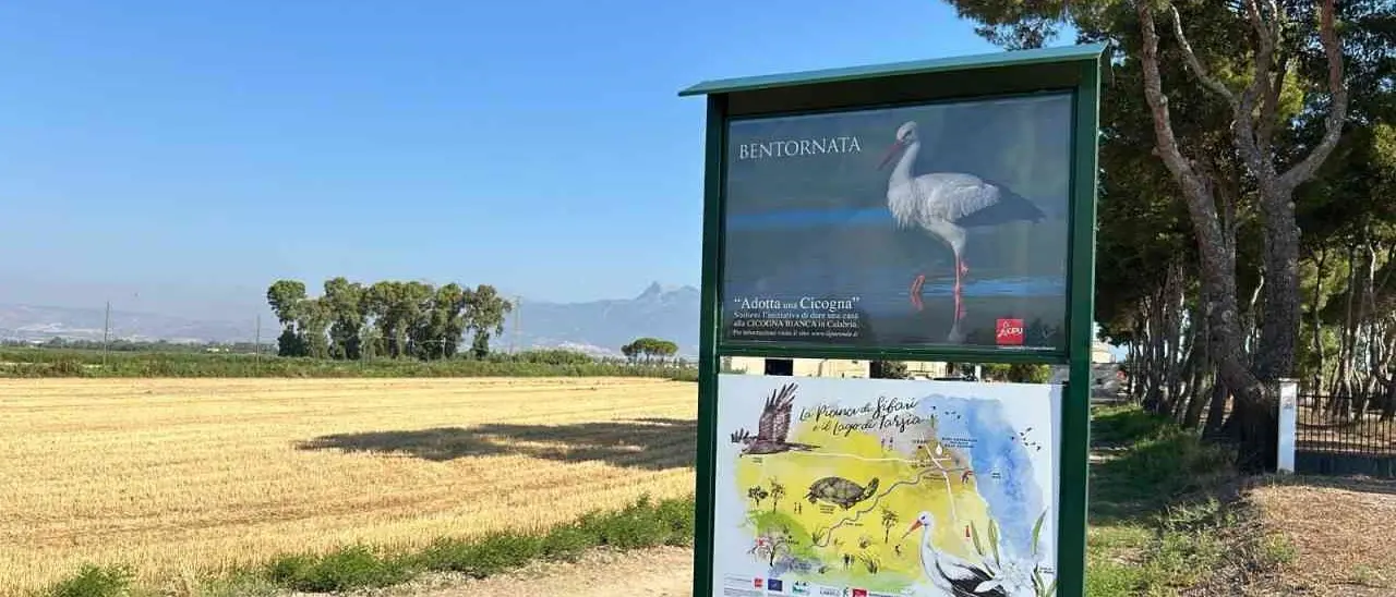 Le risaie di Sibari scrigno di biodiversità: al via una collaborazione tra Lipu e aziende