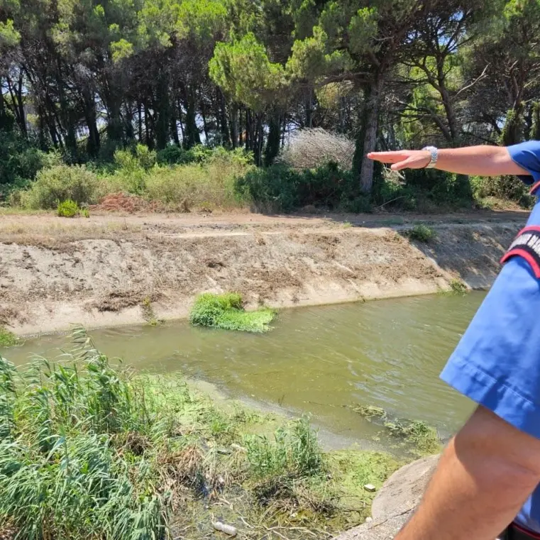 Mare inquinato a Lamezia, sequestrato tratto di un canalone industriale che scaricava nel Golfo di Sant’Eufemia