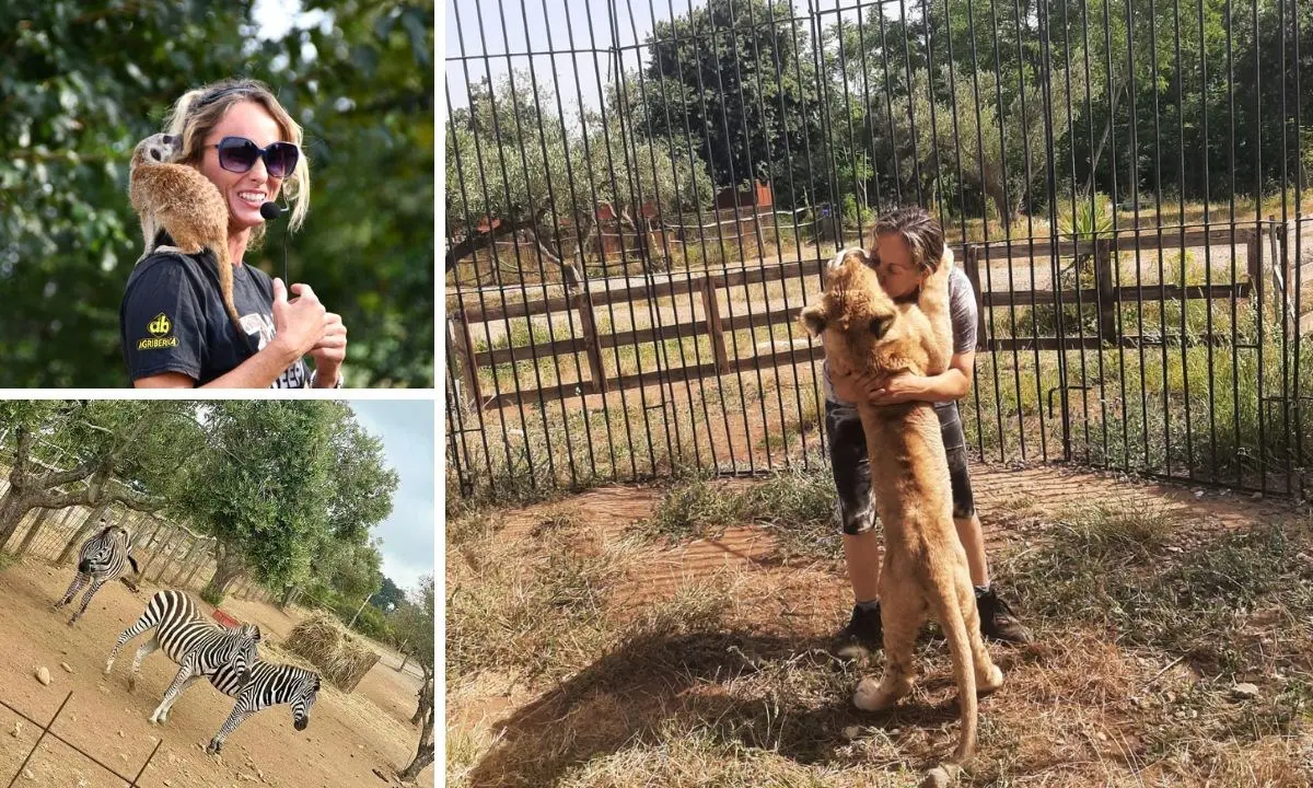 Calabria di… leoni: il piccolo Simba nato a San Pietro a Maida tra zebre, suricati, lama e canguri