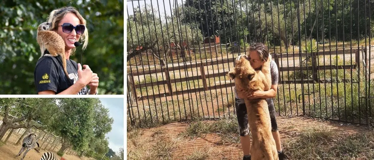 Calabria di… leoni: il piccolo Simba nato a San Pietro a Maida tra zebre, suricati, lama e canguri