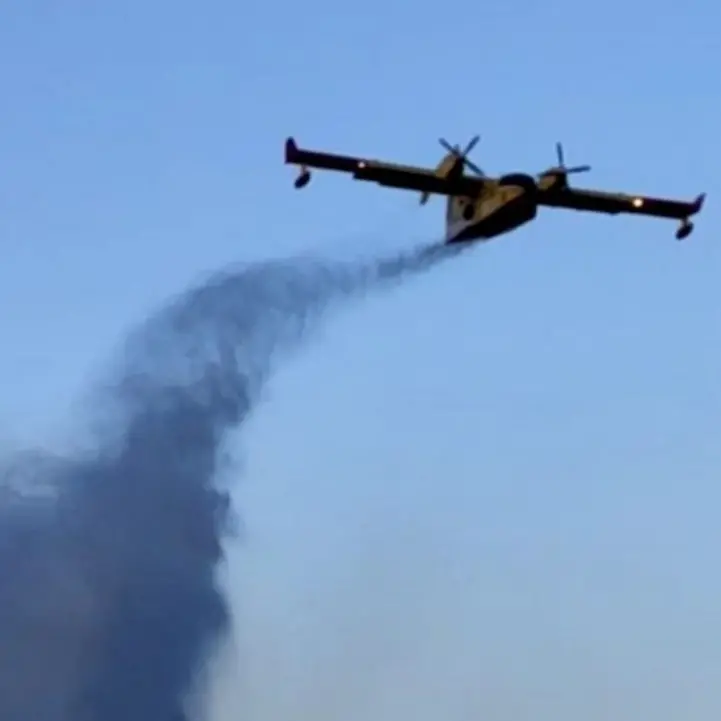 Incendio a Rossano, fronte di fuoco minaccia case e aziende tra cui una fabbrica di fuochi d’artificio