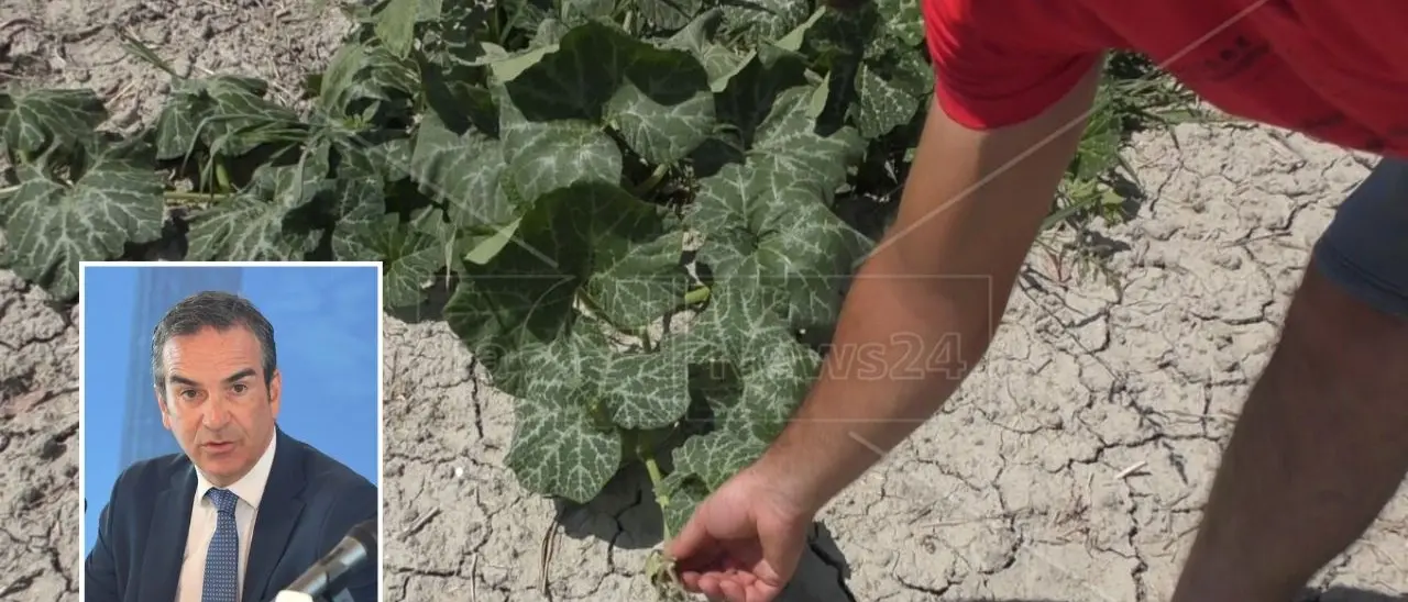 Calabria senz’acqua, Occhiuto dichiara lo stato d’emergenza per i territori di Crotone e Reggio
