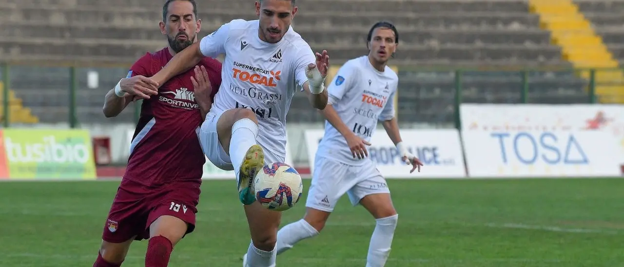 Serie D, Vibonese inarrestabile sul mercato: altro tris di arrivi alla corte di mister Facciolo