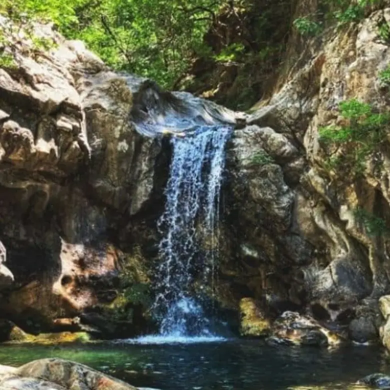 Regione Calabria, depositata una proposta di legge per l’istituzione della Riserva naturale di Trinchise