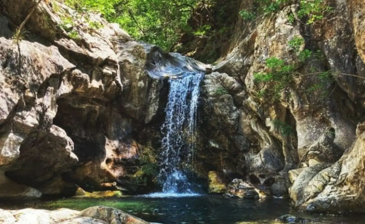 Regione Calabria, depositata una proposta di legge per l’istituzione della Riserva naturale di Trinchise