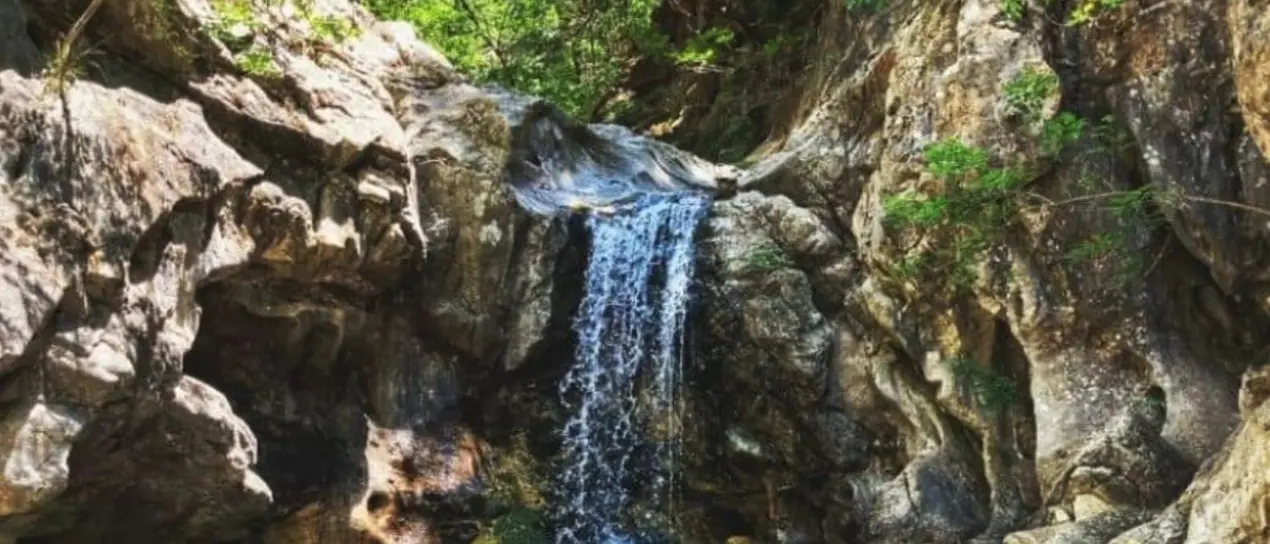 Regione Calabria, depositata una proposta di legge per l’istituzione della Riserva naturale di Trinchise