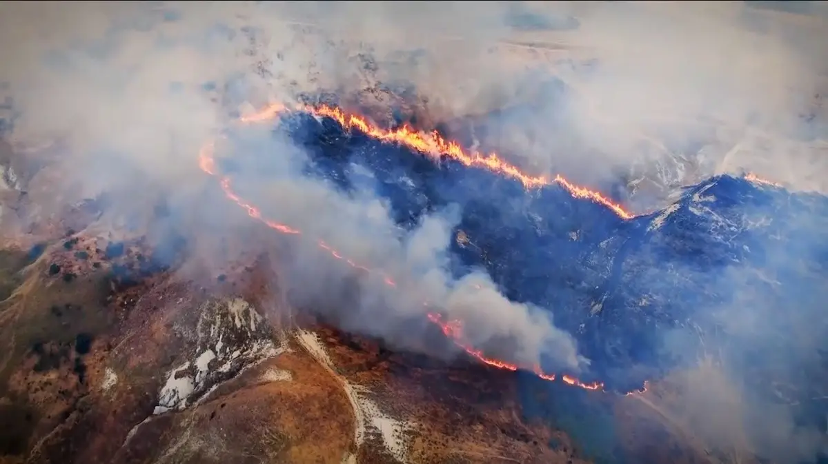 Gestione incendi, Legambiente bacchetta la Regione: «I droni per i post sui social non bastano, serve più prevenzione»