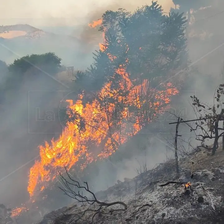 Incendio nell’area boschiva di Terravecchia, rogo domato dopo diverse ore: fiamme vicino alle case e tanta paura tra i cittadini