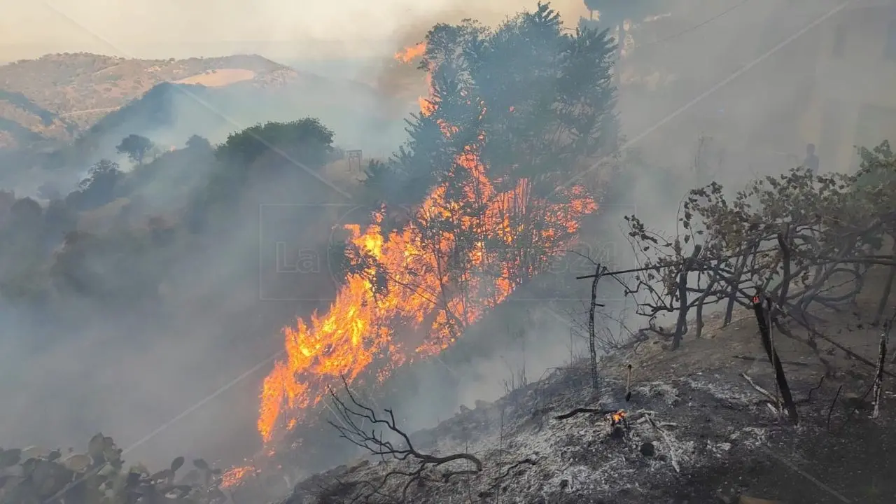 Incendio nell’area boschiva di Terravecchia, rogo domato dopo diverse ore: fiamme vicino alle case e tanta paura tra i cittadini