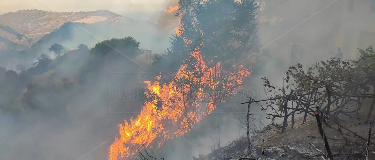 Incendio nell’area boschiva di Terravecchia, rogo domato dopo diverse ore: fiamme vicino alle case e tanta paura tra i cittadini